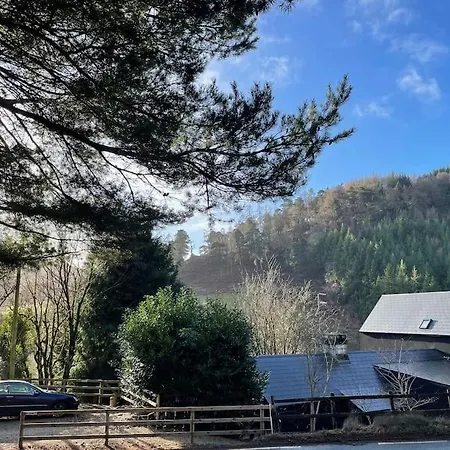 Unique In Glendalough * Laragh