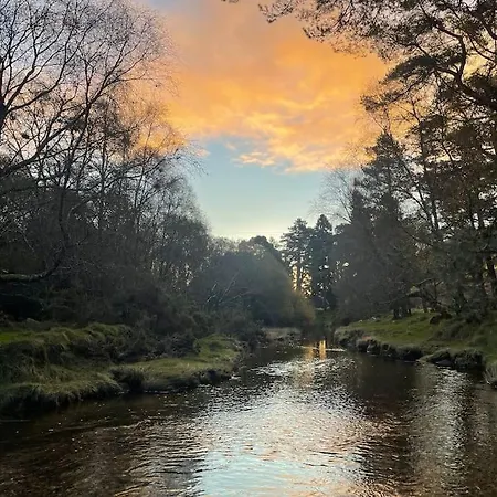 Unique In Glendalough Ferienhaus