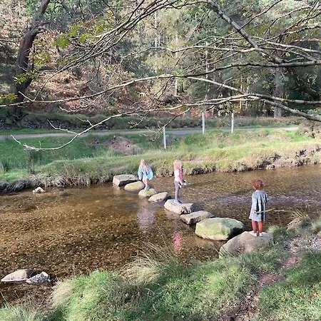 Unique In Glendalough