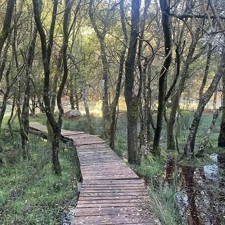 Tatil Evi Unique In Glendalough